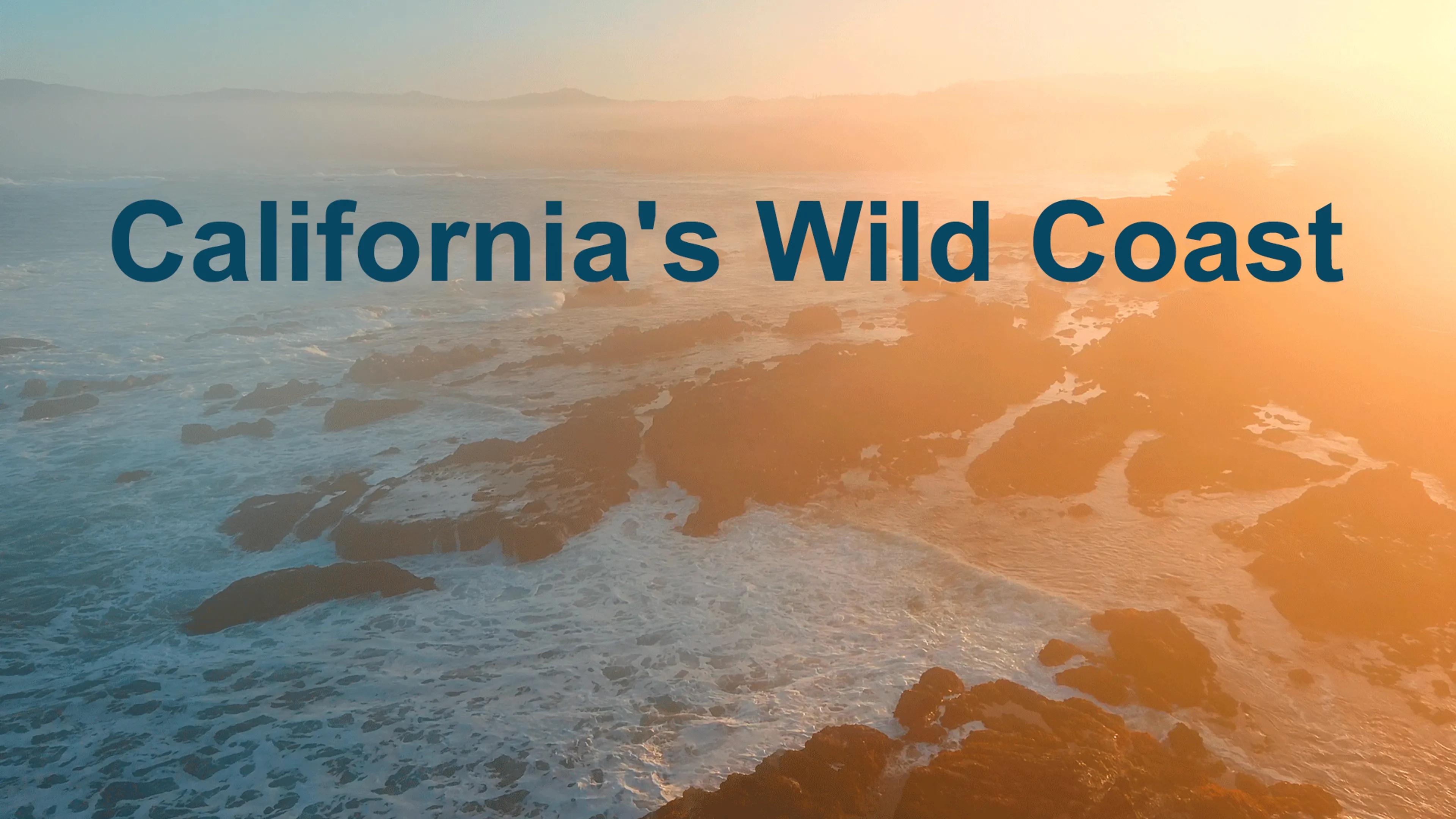 California's Wild Coast poster